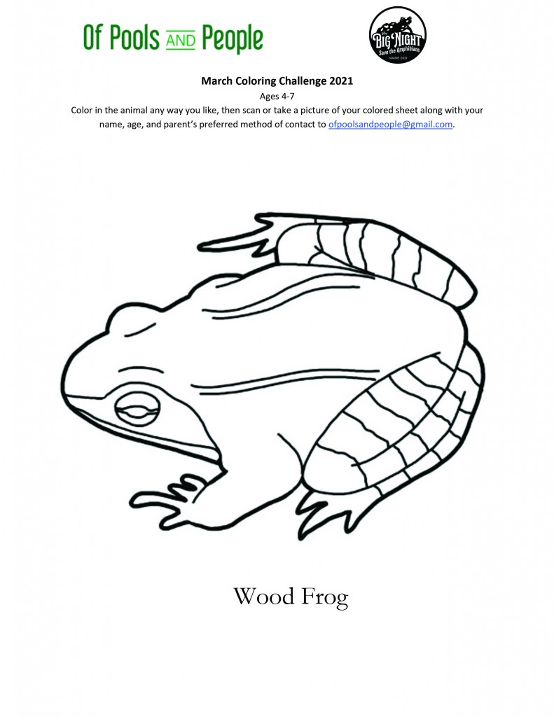 March Coloring Challenge 2021, Ages 4-7